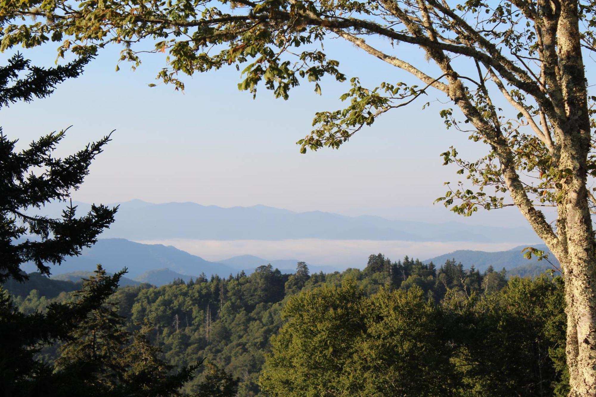 Bear Necessities, Luxury 5Bd Mtn Views, Hot Tub, Many Bear Sightings Villa Gatlinburg Exterior photo